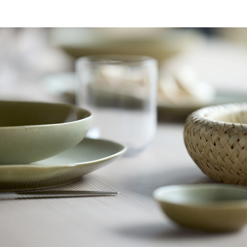 Shoku Dinner plate Shoku Dinner plate